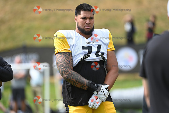 Steelers Football