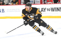 NHL: Calgary Flames at Pittsburgh Penguins