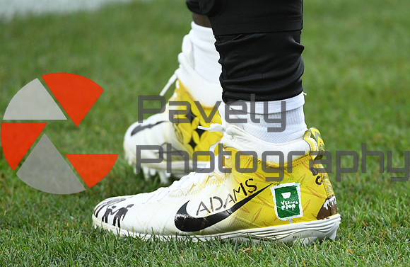 Ravens Steelers Football