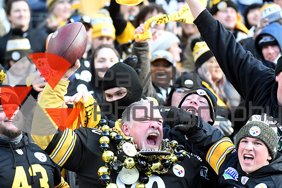 NFL: Cleveland Browns at Pittsburgh Steelers