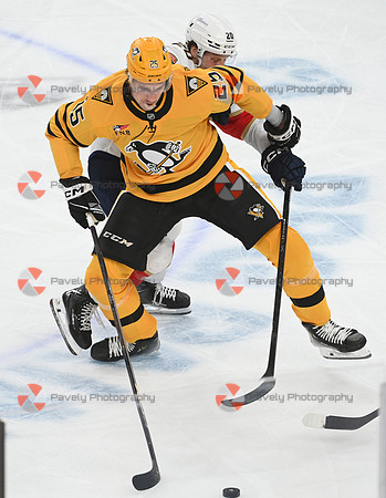 Panthers Penguins Hockey