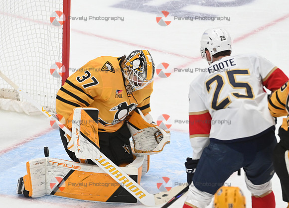 Panthers Penguins Hockey