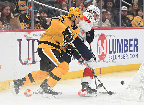 Panthers Penguins Hockey
