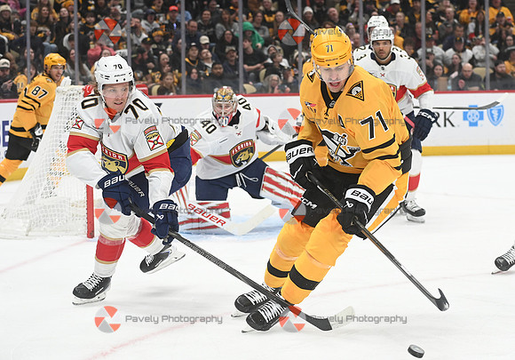 Panthers Penguins Hockey