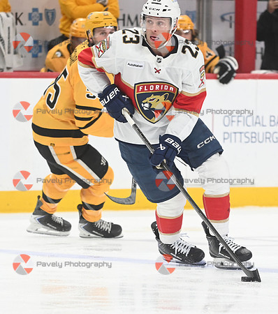 Panthers Penguins Hockey