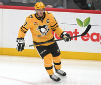 Panthers Penguins Hockey