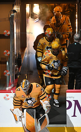 Panthers Penguins Hockey