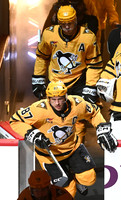 Panthers Penguins Hockey
