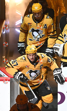 Panthers Penguins Hockey