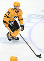 Panthers Penguins Hockey