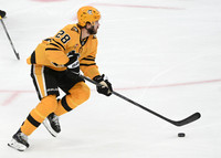 Panthers Penguins Hockey