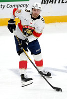 Panthers Penguins Hockey