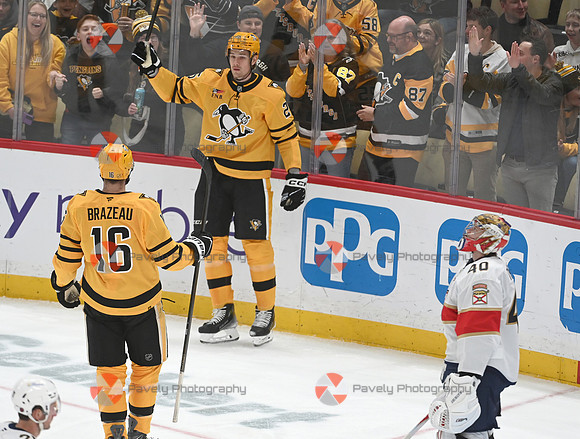 Panthers Penguins Hockey