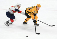 Panthers Penguins Hockey
