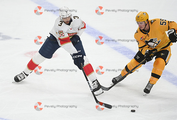Panthers Penguins Hockey