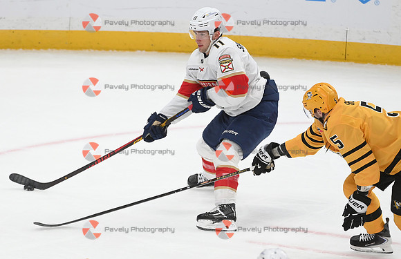 Panthers Penguins Hockey
