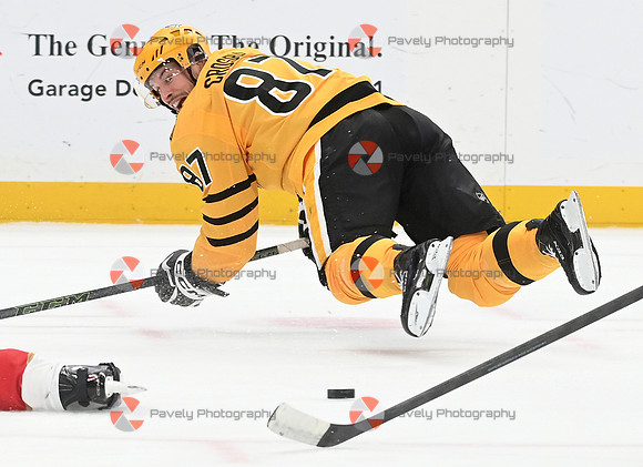 Panthers Penguins Hockey