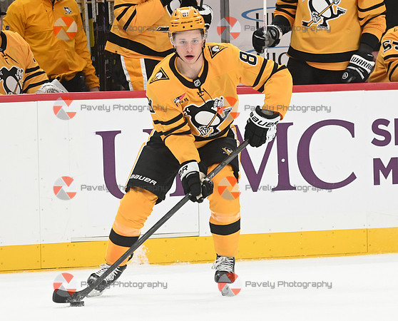 Panthers Penguins Hockey