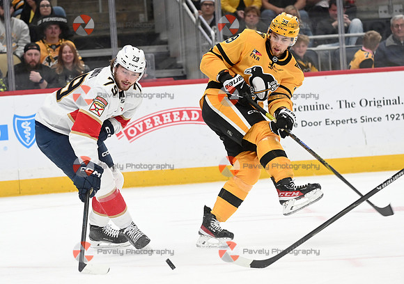 Panthers Penguins Hockey