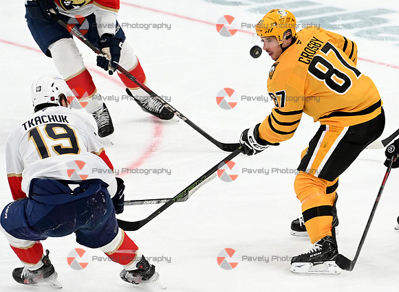 Panthers Penguins Hockey