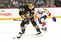 Panthers Penguins Hockey