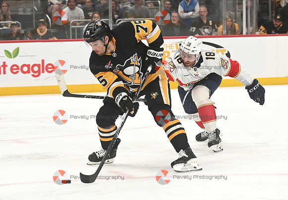 Panthers Penguins Hockey