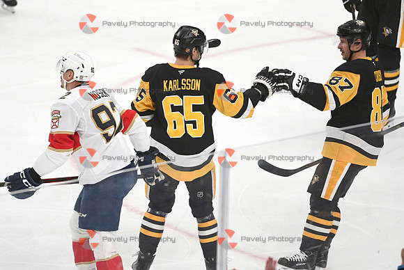 Panthers Penguins Hockey