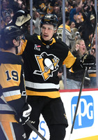 Panthers Penguins Hockey