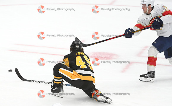 Panthers Penguins Hockey