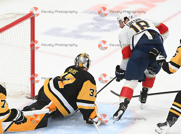 Panthers Penguins Hockey
