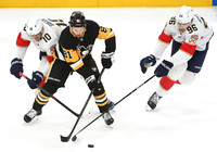 Panthers Penguins Hockey