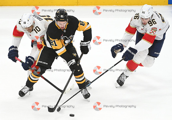 Panthers Penguins Hockey