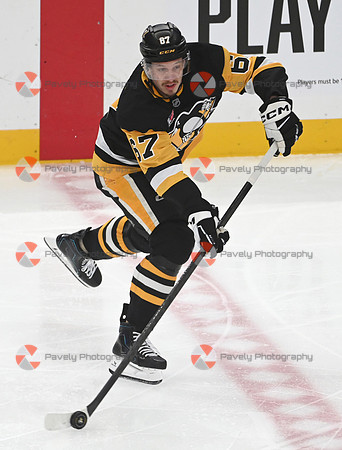 Panthers Penguins Hockey