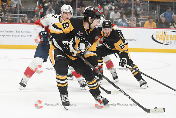 Panthers Penguins Hockey
