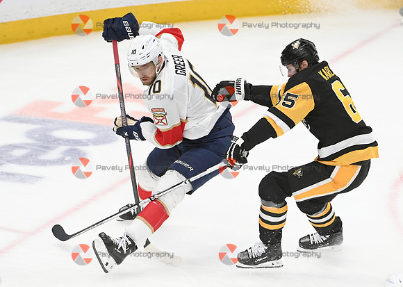 Panthers Penguins Hockey