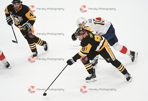 Panthers Penguins Hockey