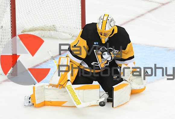 Lightning Penguins Hockey