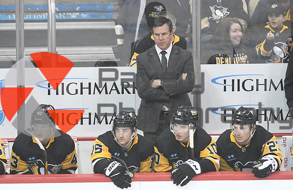 Oilers Penguins Hockey