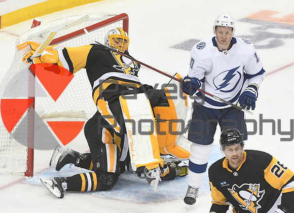 Oilers Penguins Hockey