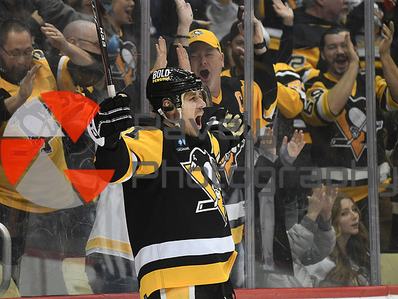 Lightning Penguins Hockey