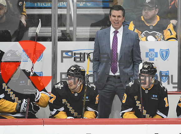 Oilers Penguins Hockey