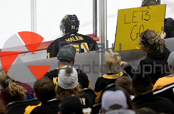 Islanders Penguins Hockey