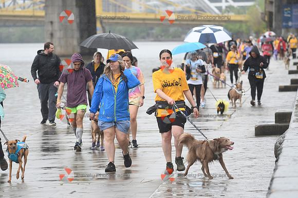 2025 P3R Pittsburgh Pet Walk