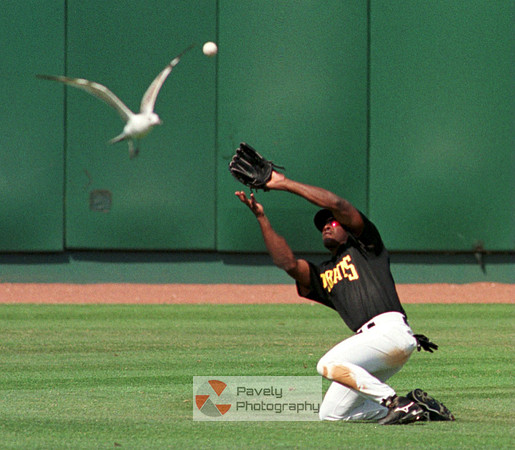 Fowl Ball while working for www.triblive.com