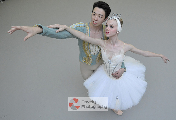 PTR-TK-SwanLake7-021314
