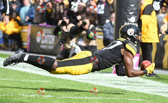 NFL: Baltimore Ravens at Pittsburgh Steelers