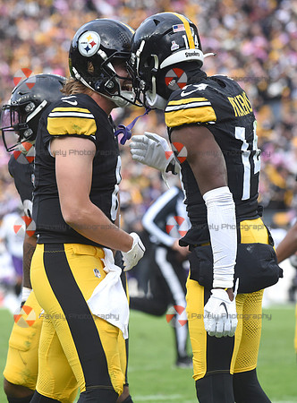 NFL: Baltimore Ravens at Pittsburgh Steelers