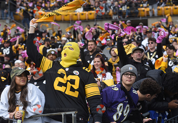 Ravens Steelers Football
