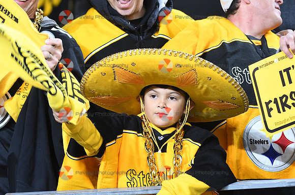 NFL: Tennessee Titans at Pittsburgh Steelers