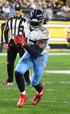 NFL: Tennessee Titans at Pittsburgh Steelers